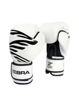 BOX, MMA, Kick-box, Thai-box, Muay-thai