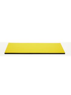   ProGame I-TIS COMPETITION tatami - IJF Approved - 200*100*5 cm
