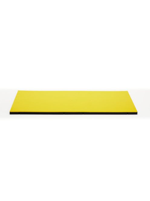 ProGame I-TIS COMPETITION tatami - IJF Approved - 200*100*5 cm