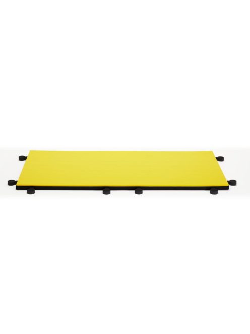 ProGame I-TIS COMPETITION tatami - IJF Approved - 200*100*5 cm
