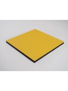 ProGame I-TIS COMPETITION tatami - IJF Approved - 200*100*5 cm