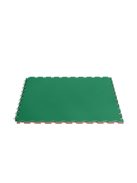 ProGame Multisport Entry tatami - 100 x100 x 2,2 cm