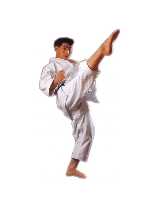 SHUREIDO eredeti japán karate ruhák rendelése